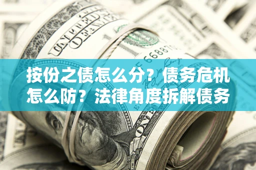 武汉按份之债怎么分？债务危机怎么防？法律角度拆解债务分配与风险自保指南