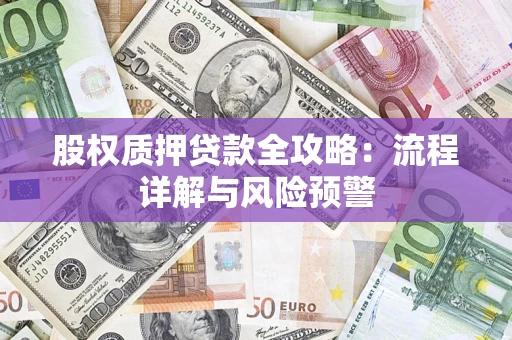 武汉股权质押贷款全攻略：流程详解与风险预警