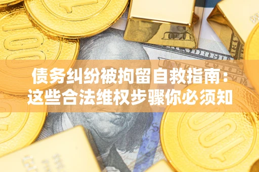 武汉债务纠纷被拘留自救指南：这些合法维权步骤你必须知道！