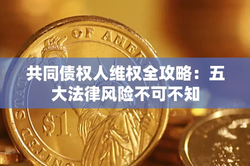 武汉共同债权人维权全攻略：五大法律风险不可不知