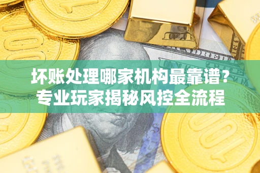 武汉坏账处理哪家机构最靠谱？专业玩家揭秘风控全流程
