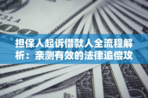 武汉担保人起诉借款人全流程解析：亲测有效的法律追偿攻略