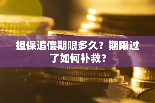 武汉担保追偿期限多久？期限过了如何补救？