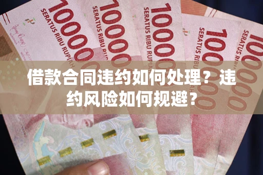 武汉借款合同违约如何处理？违约风险如何规避？