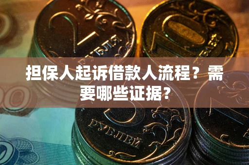 武汉担保人起诉借款人流程？需要哪些证据？