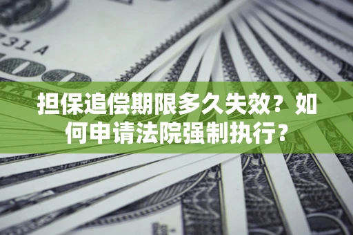 武汉担保追偿期限多久失效？如何申请法院强制执行？