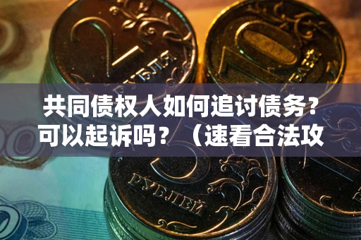 武汉共同债权人如何追讨债务？可以起诉吗？（速看合法攻略）