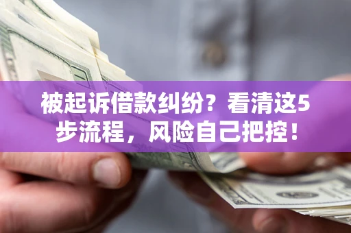 武汉被起诉借款纠纷？看清这5步流程，风险自己把控！