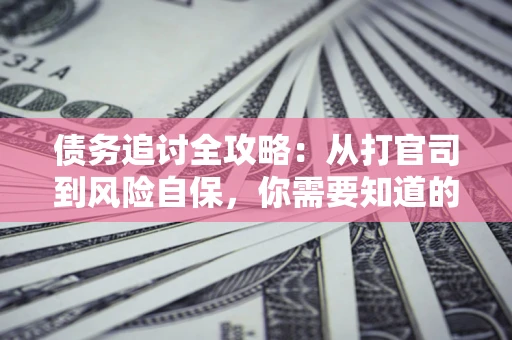 武汉债务追讨全攻略：从打官司到风险自保，你需要知道的法律智慧