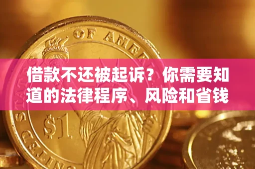 武汉借款不还被起诉？你需要知道的法律程序、风险和省钱技巧