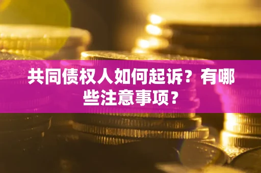 武汉共同债权人如何起诉？有哪些注意事项？